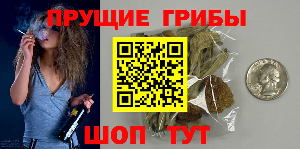 Петрозаводск  Галлюциногенные грибы GOLDEN TEACHER  Псилоцибиновые грибы ЛСД  Вход с VPN 